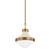 Troy Lighting - F3113-PBR/SSD - One Light Pendant - Maxton - Patina Brass
