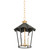 Troy Lighting - F3714-VGL/FRN - Three Light Lantern - Wildomar - Vintage Gold Leaf