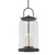 Troy Lighting - F5186-FRN - Four Light Pendant - Napa County - French Iron
