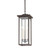 Troy Lighting - F7520-TBZ - Three Light Outdoor Pendant - Eden - Textured Bronze