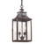 Troy Lighting - F9004-SFB - Two Light Hanging Lantern - Newton - Soft Off Black