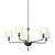 Troy Lighting - F9737-BI - Five Light Chandelier - Osmond - Black Iron