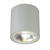 SKY SKY,OUTDR,LED FLUSMOUNT,MARINE (28287-018)