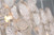 Trento 12 Light Linear Chandelier (34031-018)