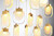 manufacturer_finish:Gold