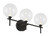 Eurofase - 48915-014 - IISSA-VAN-3LT-BK-CL - IISSA - Black
