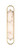 Eurofase - 48955-010 - NOGA-VAN-24IN-GD-ALB - NOGA - Gold