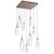 manufacturer_finish:Burnished Bronze|manufacturer_glass:Clear Blown Glass|color_temperature:3000K|cri:Unspecified|voltage:Unspecified
