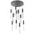 manufacturer_finish:Graphite|color_temperature:3000K|cri:Unspecified|voltage:Unspecified