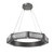 manufacturer_finish:Graphite|color_temperature:3000K|cri:Unspecified|voltage:Unspecified
