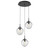 manufacturer_finish:Matte Black|manufacturer_glass:Clear Blown Glass|light_source:Incandescent|voltage:120.00V