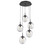 manufacturer_finish:Matte Black|manufacturer_glass:Clear Blown Glass|light_source:Incandescent|voltage:120.00V