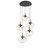 manufacturer_finish:Matte Black|manufacturer_glass:Floret Crystal Inner - Amber Outer|light_output:1700.00lm|color_temperature:2700K|cri:93|voltage:120.00V