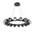 manufacturer_finish:Matte Black|color_temperature:2700K