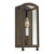 manufacturer_finish:Burnished Bronze|manufacturer_glass:Clear Blown Glass|color_temperature:3000K