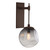 manufacturer_finish:Flat Bronze|manufacturer_glass:Smoke Blown Glass|light_source:Incandescent|voltage:120.00V