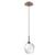 manufacturer_finish:Burnished Bronze|manufacturer_glass:Clear Blown Glass|color_temperature:3000K|cri:Unspecified|voltage:Unspecified