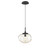 manufacturer_finish:Matte Black|manufacturer_glass:Amber Blown Glass|light_source:Incandescent|voltage:120.00V