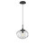 manufacturer_finish:Matte Black|manufacturer_glass:Clear Blown Glass|light_source:Incandescent|voltage:120.00V