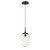 manufacturer_finish:Matte Black|manufacturer_glass:Floret Crystal Inner - Amber Outer|color_temperature:3000K|cri:93|voltage:120.00V