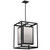 manufacturer_finish:Statuary Bronze|light_source:Incandescent|color_temperature:Unspecified|voltage:120.00V