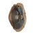 manufacturer_finish:Novel Brass