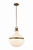 Hudson Valley - 5817-HB - One Light Pendant - Barryville - Historic Bronze
