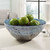 Genovesa Bowl (18099)