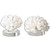 Uttermost - 19910 - Sculpture Set/2 - Hard Coral - Textured Cream