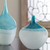 Carlas Vases, S/2 (20084)