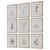 Uttermost - 32339 - Framed Prints S/9 - Botanical Flowers - Champagne Gold