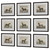 Uttermost - 32343 - Framed Prints S/9 - Equine Dynasty - Dark Walnut