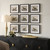 Equine Dynasty Framed Prints, S/9 (32343)