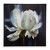 Uttermost - 32445 - Wall Art - Peony - Black