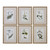 Uttermost - 33651 - Wall Art - Green Floral Botanical Study - Gold Leaf
