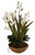 Uttermost - 60039 - Planter - Moth Orchid - Natural Brown