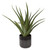 Tucson Planter (60204)