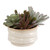 Uttermost - 60209 - Succulent Accent - Mesa Succulent - Textured Tan