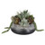 Yuma Centerpiece (60214)