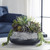 Yuma Centerpiece (60214)