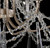 Barcelona Six Light Chandelier (270C06TR)