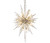 Varaluz - 311F16GD - 16 Light Foyer Pendant - Orbital - Gold Dust