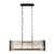 Park Row Five Light Linear Pendant (393N05MBFG)