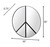 Paz Mirror (4DMI0117)