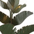 Banana Leaf Nine Light Chandelier (901C09)