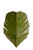Varaluz - 901K02 - Two Light Wall Sconce - Banana Leaf - Banana Leaf