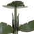 Banana Leaf Three Light Semi-Flush Mount (901S03)
