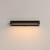 Braque LED Picture Light (E21491-BK)