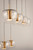 Newton LED Pendant (E24165-18BKGLD)