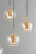 Newton LED Pendant (E24169-18BKGLD)